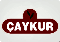 Caykur logo